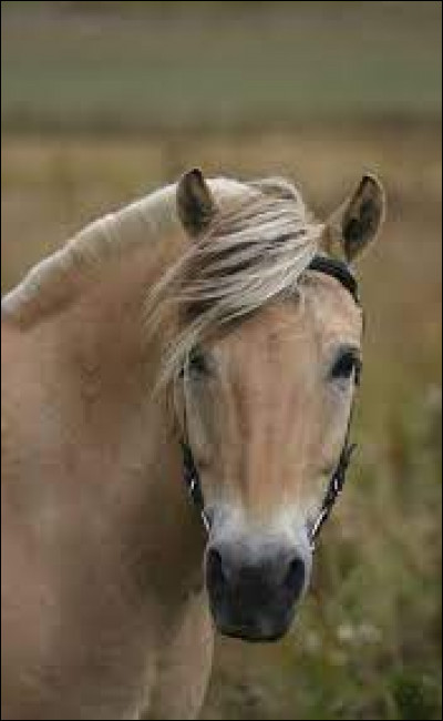 Complète la phrase : "Sa taille est de ...m... à ...m...".