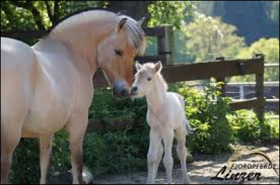 Quels sont ses 2 autres noms ?