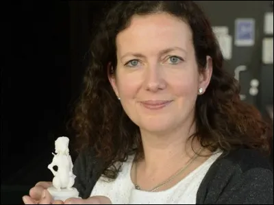 Comment s'appelle l'auteur ?