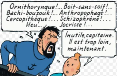 Je trouve les autres bizarres.