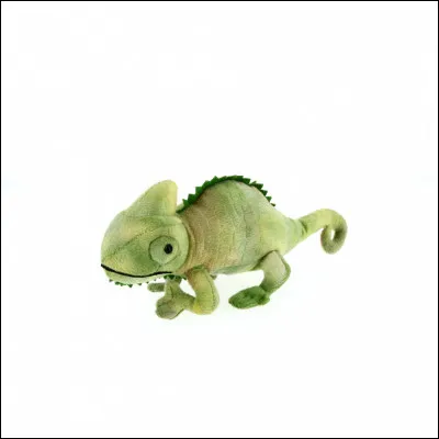 Quel verbe transitif signifiant questionner donne son origine au nom quiz ?