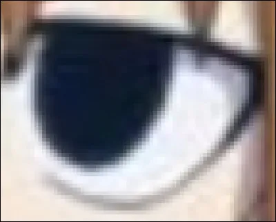 À quel personnage de Beyblade Burst appartient cet il ?