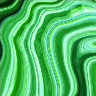 Quels &ecirc;tres vivants, li&eacute;s &agrave; la photosynth&egrave;se, forment la division des embryophytes ?