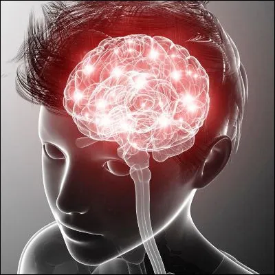 Quel terme, synonyme de l�abr&eacute;viation HPI, est d&eacute;fini par un QI sup&eacute;rieur &agrave; 130 ?