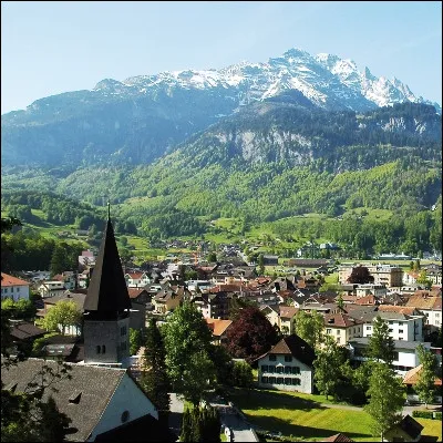 Quelle p&acirc;tisserie &agrave; base de blancs d'�ufs mont&eacute;s en neige et de sucre tiendrait son nom d'un village du canton suisse de Berne ?