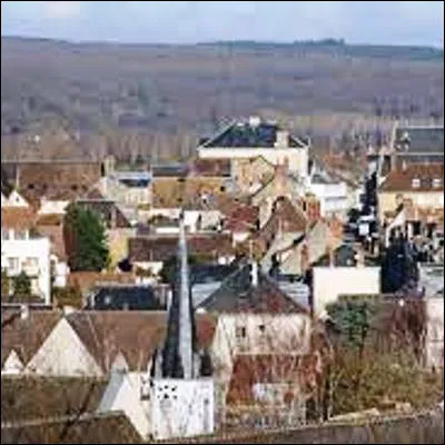 Dans quelle r&eacute;gion naturelle fran&ccedil;aise &agrave; cheval sur quatre d&eacute;partements se trouve la ville de Nogent-le-Rotrou ?