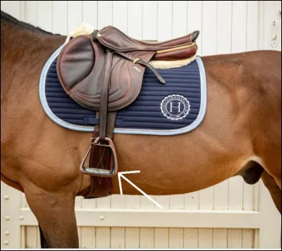 Comme s'appelle cette partie de la selle ?