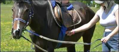Avant de monter son cheval que faut-il faire ?