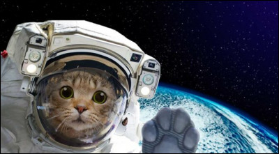 Quel est le seul animal pouvant vivre dans l'espace ?