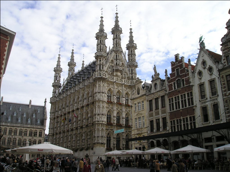 Combien de villes belges dépassent les 100 000 habitants ?