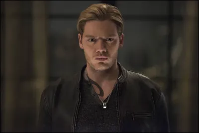 De quelle série est-il un des personnages principaux ?