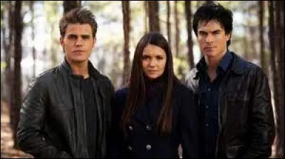 De quelle série sont-ils les personnages principaux ?