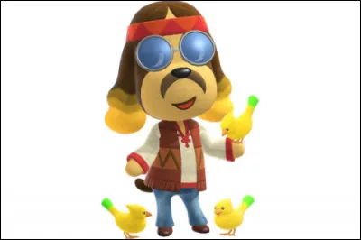 Combien y a t-il de pièces chez Joe ?