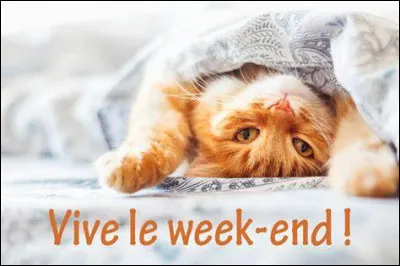 C'est vendredi soir, enfin la fin de la journée, c'est le week-end. Que fais-tu quand tu sors de ta journée de collège ?