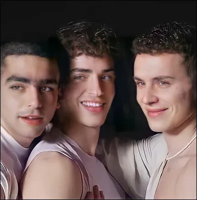 Parmi les couples suivants, lequel n�existe pas ?