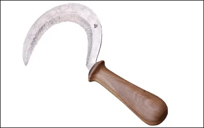 Qu'a fondé, en 1981, Henri-Robert Petit ?