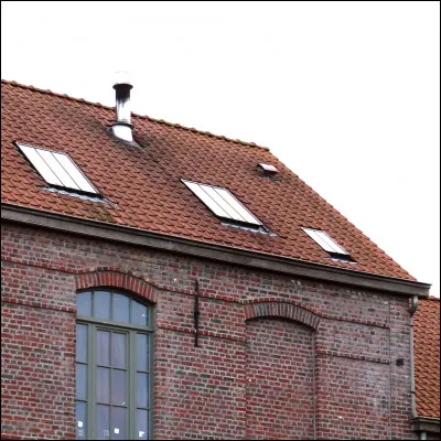 Que collectionne un buxidanicophile ?