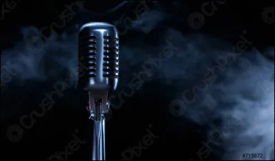 Bien, justement, si tu étais artiste et que tu participais à l'Eurovision, quel style de musique présenterais-tu ?