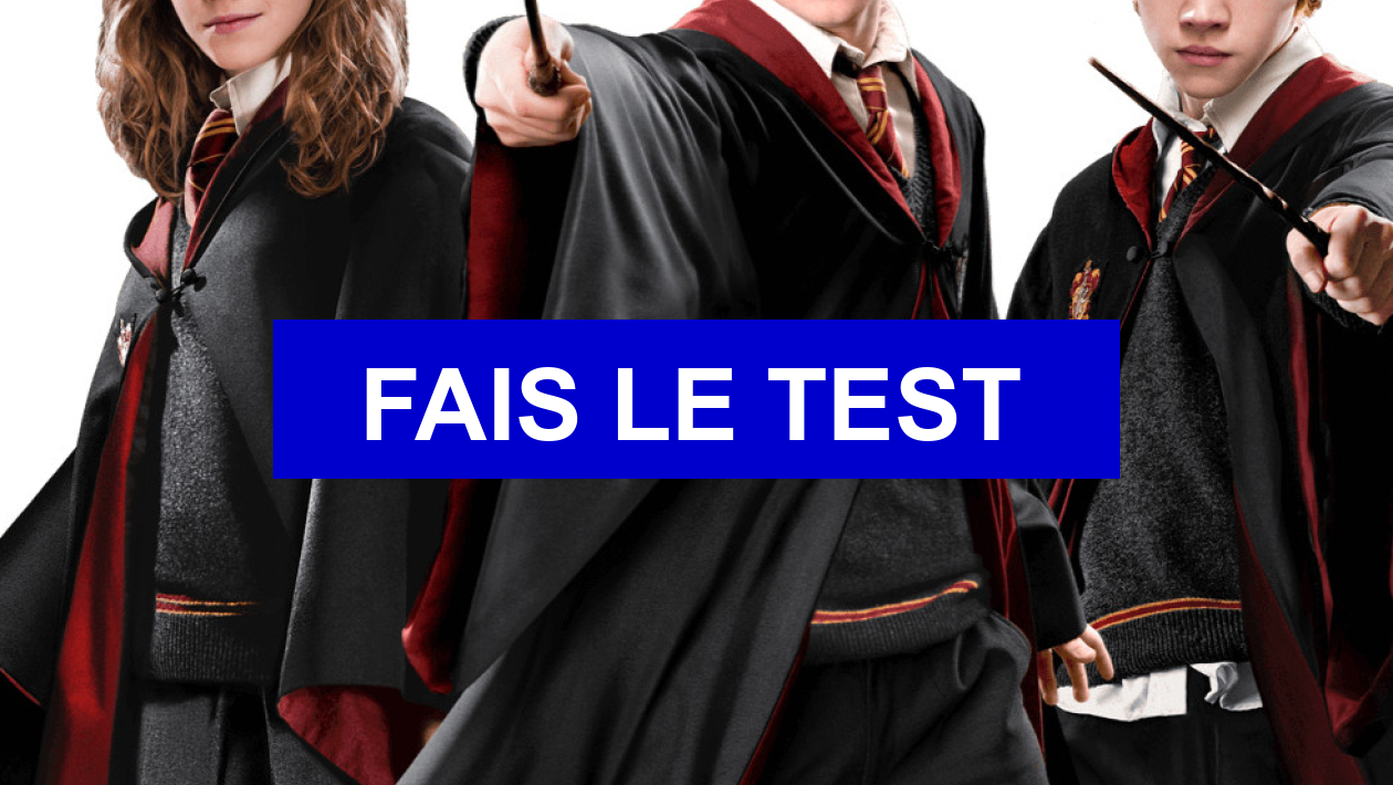 Teste De Personnalite Harry Potter Maison Quelle devrait être ta maison dans Harry Potter ?(Le test ultime )