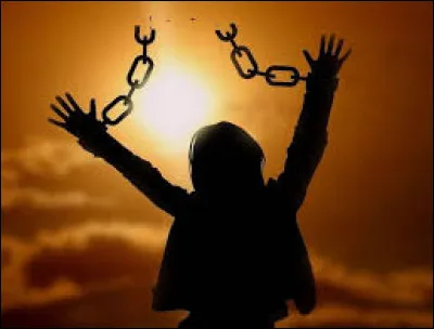 Qui est l'auteur du roman "La Joie" ?