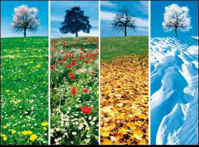 Quelle est ta saison préférée ?