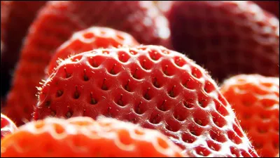 Comment s'appellent les petits grains que l'on trouve sur les fraises ?