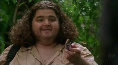 Par quoi Hurley se fait-il piquer au pied ?