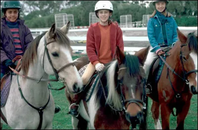 Quel est le titre de cette série ?