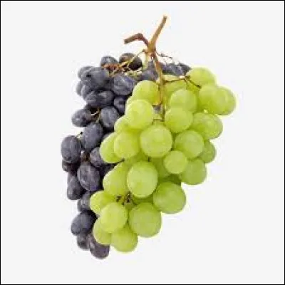 Qu'est-ce qui peut être raisin, demi-raisin, quart-raisin ou double raisin ?