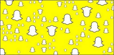 &Agrave; quoi sert cette application ?