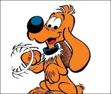 Quelle est la race de Bill, le fidle chien de Boule ?