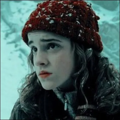 Quel est le Patronus de Hermione Granger ?