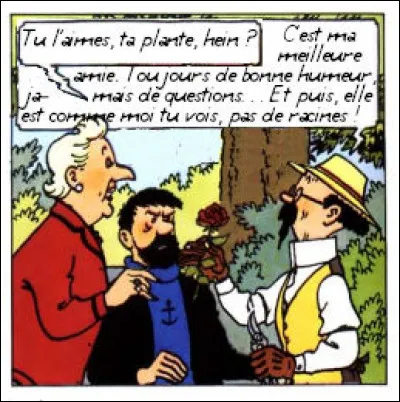 Tournesol, dans un rôle à contre-emploi ! (NB : Seul le bon titre est chamboulé, les autres sont authentiques !)