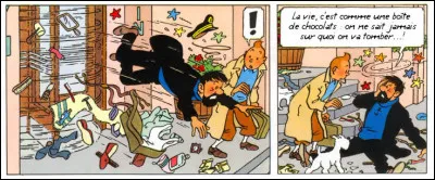 L'un des plus grands rôles de Tom Hanks, repris par le capitaine Haddock. Quel en est le titre ?