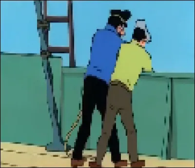 Quel animal marin Tintin a-t-il capturé  ?