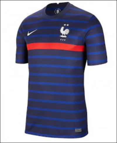 Quel est le surnom le plus courant des internationaux français  ?