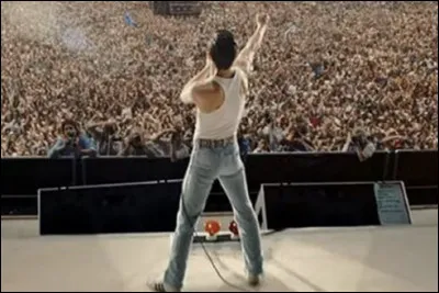 À quel concert de charité ont-ils participé ?