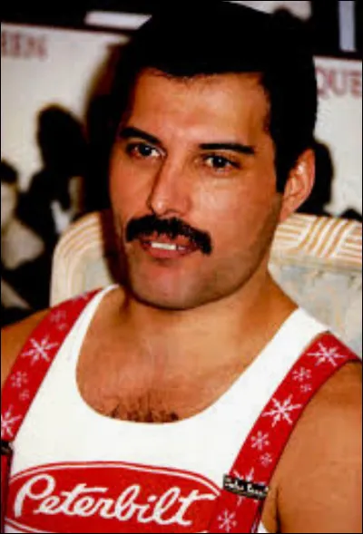 Quels animaux Freddie Mercury aimait-il tout particulièrement ? (Il en avait plein !)