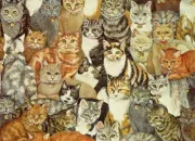 Quiz Quiz trop facile : chats