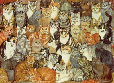 Combien voit-on de chats sur limage ?