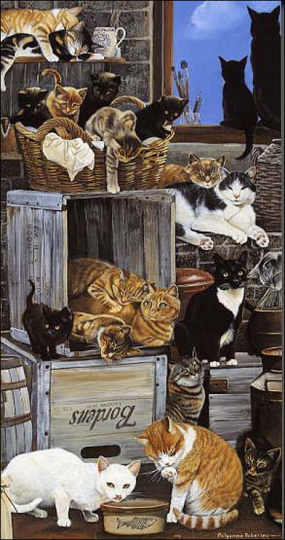 Quy a-t-il sur la fenêtre, à côté du chat noir ?