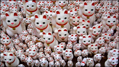 Comment appelle-t-on ces matous japonais ?