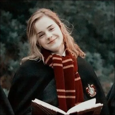 Combien la baguette d'Hermione Granger mesure-t-elle ?