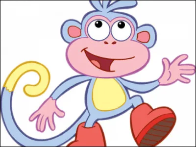 Comment s'appelle son singe de compagnie ?