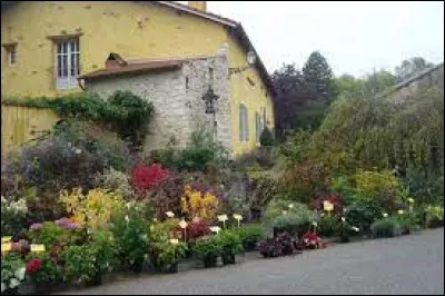 Je vous propose une balade parmi les fleurs, à Gélaucourt. Petit village du Grand-Est, récompensé au concours des Villes et Villages fleuris avec 4 fleurs, il se situe dans le département ...