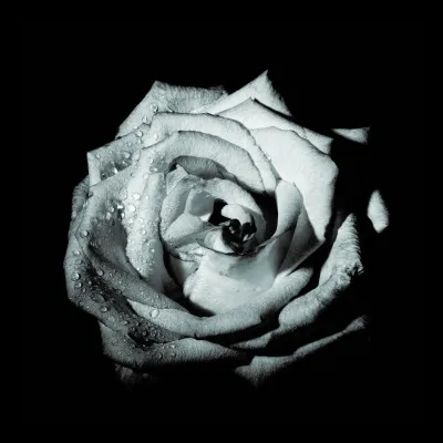 En quelle année, le site de Stonehenge a-t-il été ajouté à la liste des sites du Patrimoine mondial de lUNESCO ?