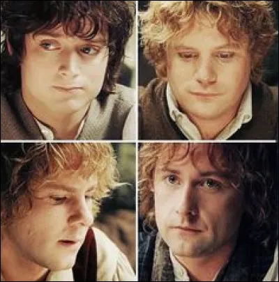 De qui est la citation : "Stupide Hobbit joufflu !" ?