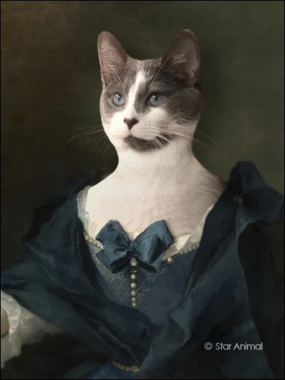 Cette chatte de l'aristocratie anglaise a vécu une passion fictive avec un garde-chasse.