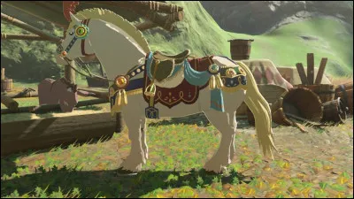 À qui appartenait le Cheval Blanc ?