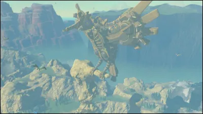 Comment s'appelle le piaf qui aide Link pour monter sur Vah Medoh ?